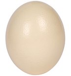Decorative Ostrich Eggs