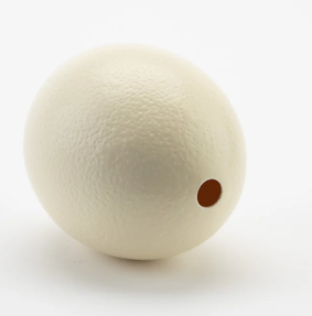 Decorative Ostrich Eggs